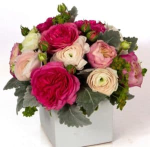 Impress that special someone in your life with this ultra-premium arrangement created by our Beneva designers. Features gorgeous and unique ranunculus flowers in white and hot pink, along with special garden roses in hot pink and light pink. 