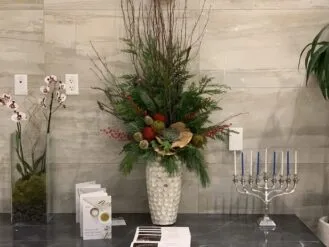 plantscapes install office decor design