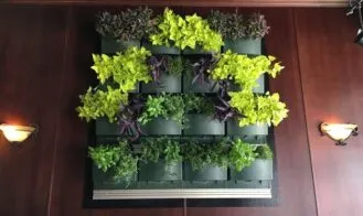 green walls wood