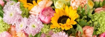 Beneva Flowers & Gifts