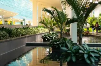 Plantscapes Indoor Garden Feature