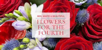 FourthofJuly-RedWhiteBeautiful-blog