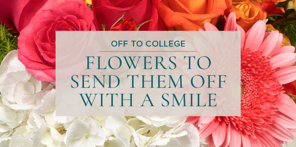 Elegant-OfftoCollege-blog