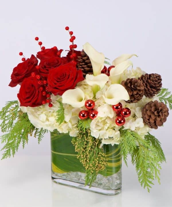 his magnificent holiday floral design is brimming with aromatic red Roses, miniature white Calla Lilies, lime green Viburnum, clouds of white Hydrangea, pine cones, and a decorative leaf lining the inside of the vase. 