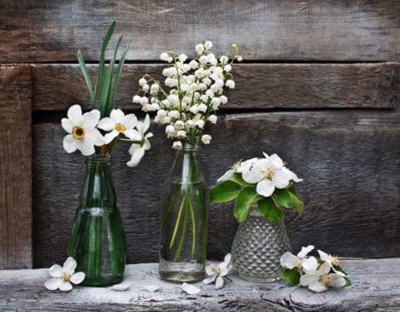 White flowers in vintage green glass bottles and bud vases