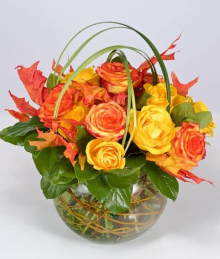 This beautiful autumn-inspired arrangement includes either one or two dozen beautiful variegated yellow-orange circus roses placed in an 8" bubble bowl. Accented with rustic touches of bear grass, fall leaves and curly willow.