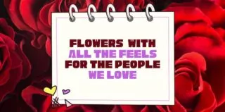 Lifestyle-FlowerFeels-blog